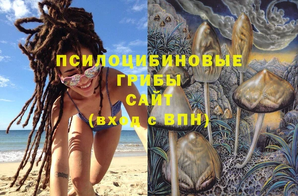 прущая мука Медвежьегорск