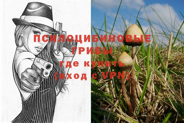 прущая мука Медвежьегорск