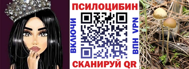 Галлюциногенные грибы ЛСД  Купить закладки  Чердынь 